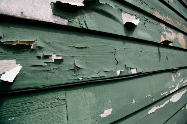 Best Same-Day Junk Removal Services  in Whiteville, NC
